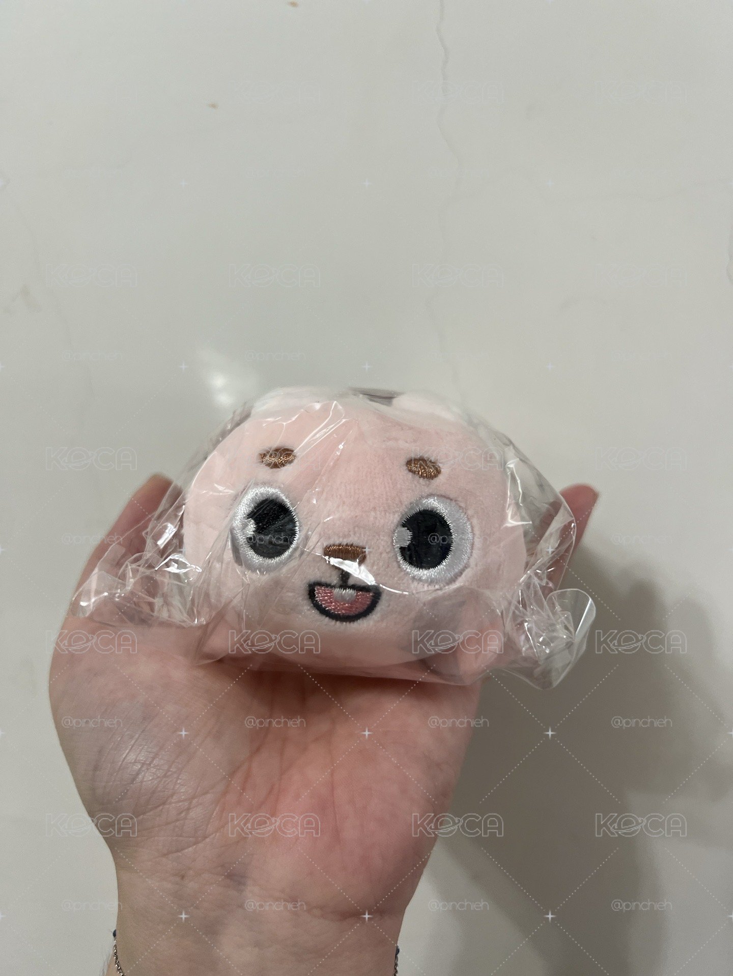 元弼 娃娃！