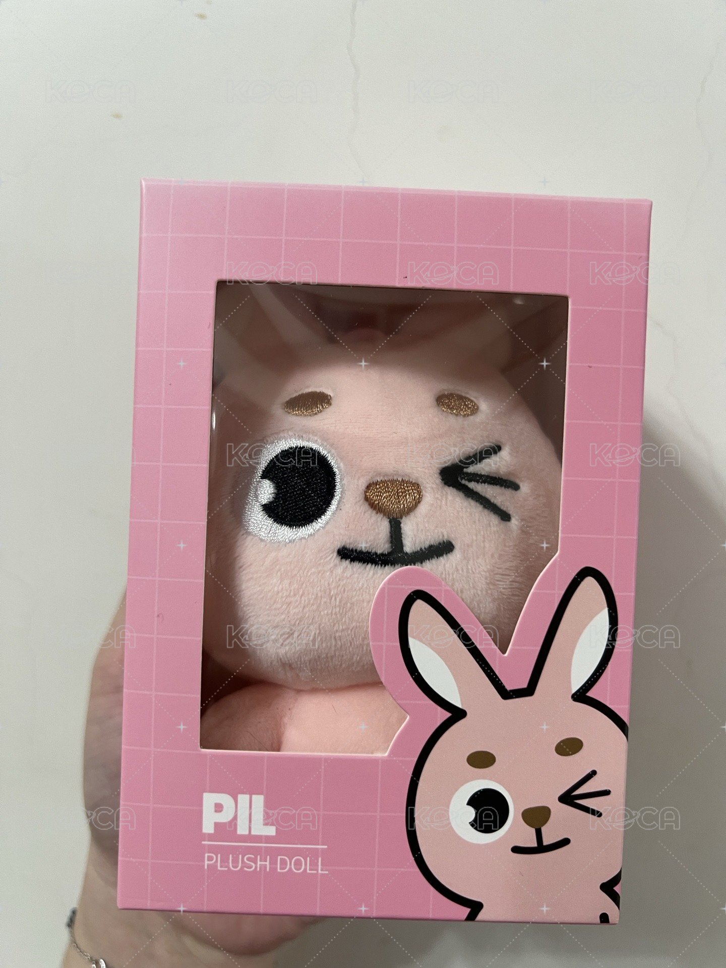  2019PIL