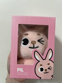  2019PIL