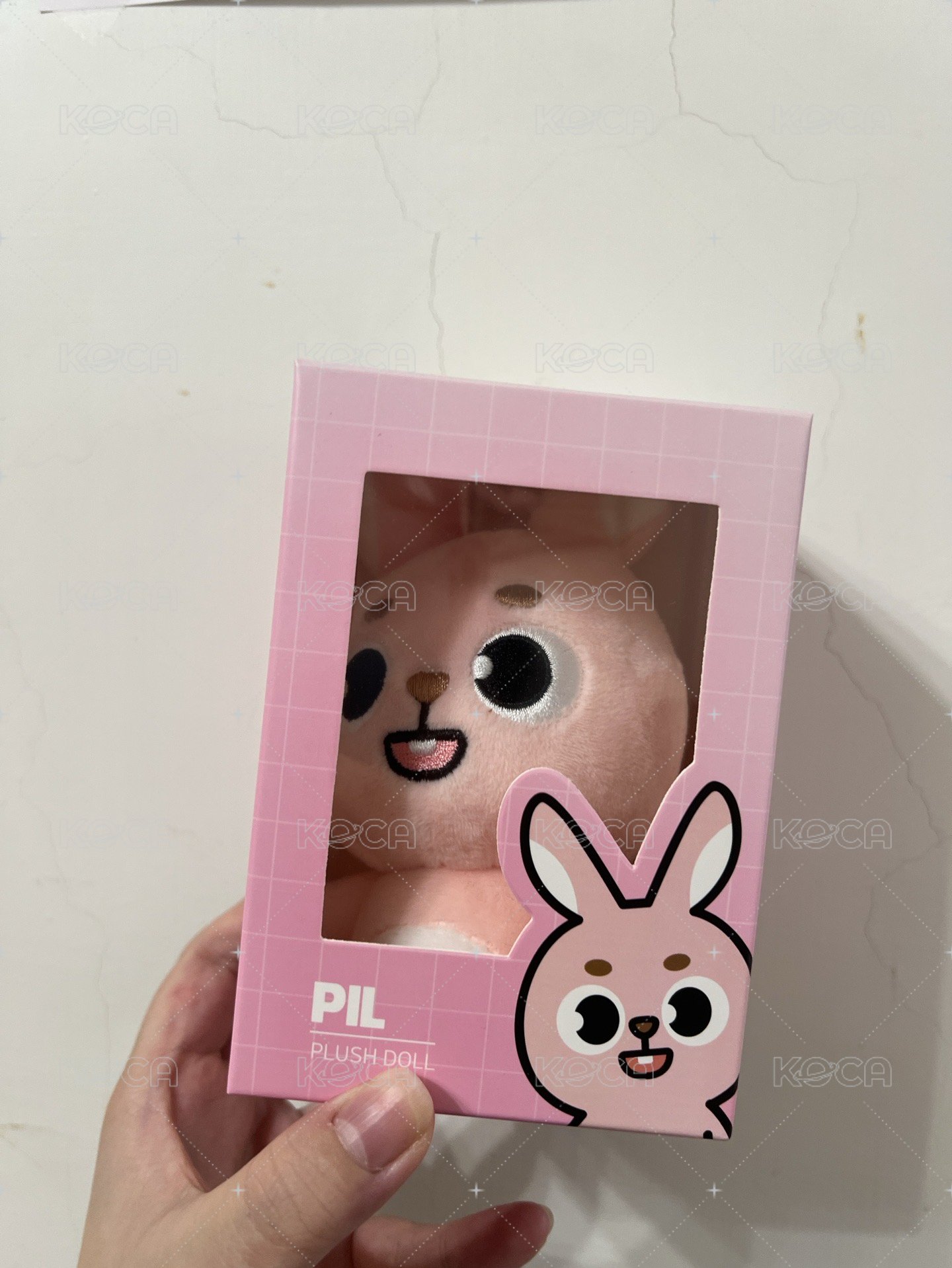 2024PIL