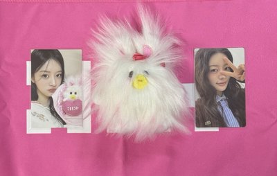 二週年娃+圖上兩張小卡+首爾大公園Illit應援巾