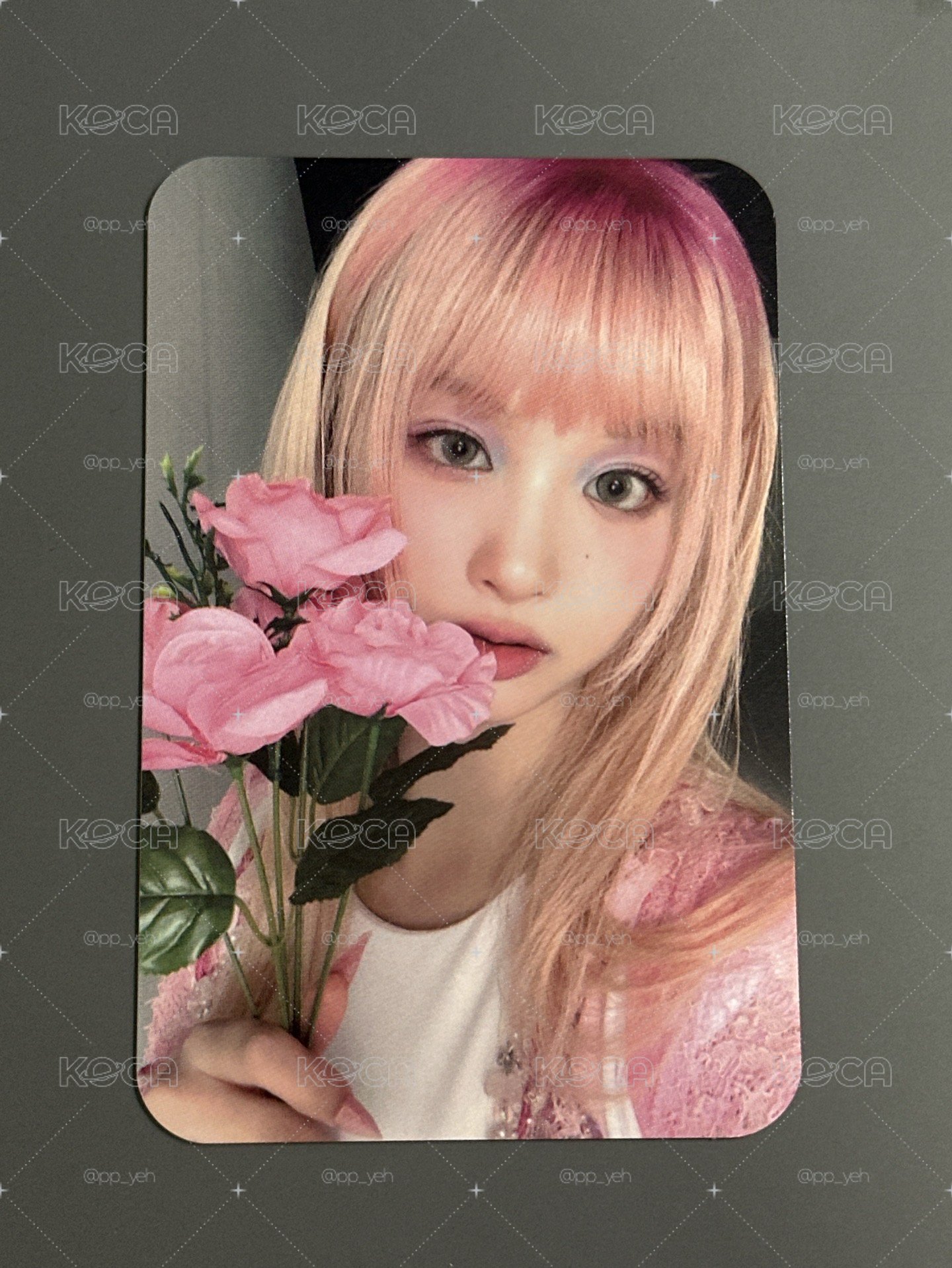 NMIXX sw拿花薛