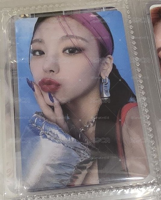 貌美火龍果志