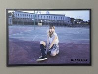 黑版莎