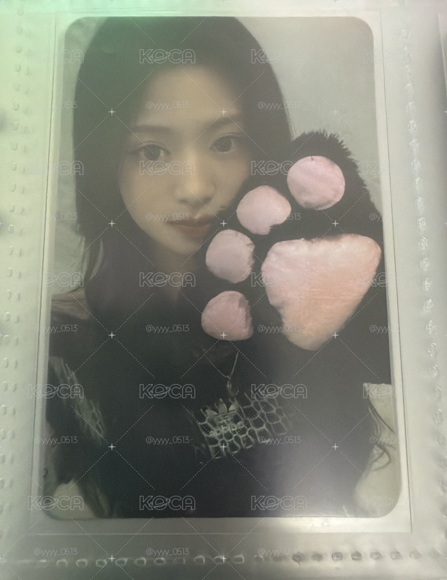 貓爪賢