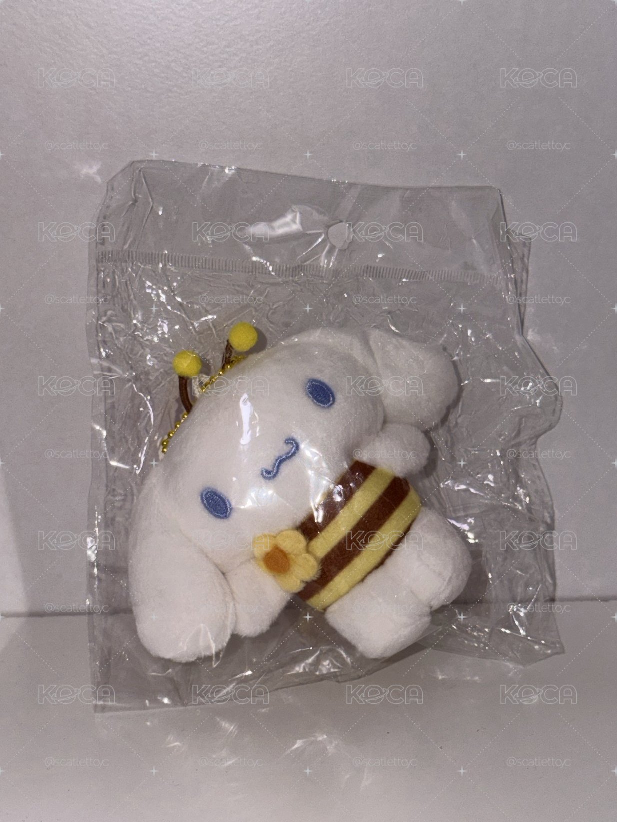蜜蜂大耳狗