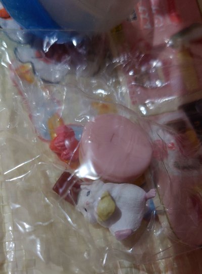 倉鼠 扭蛋 殼 紙 包裝未拆 全新