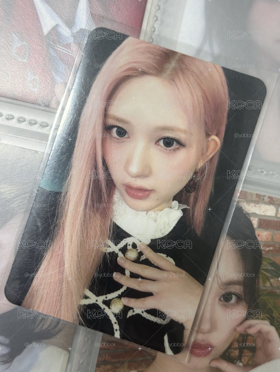 美美秋