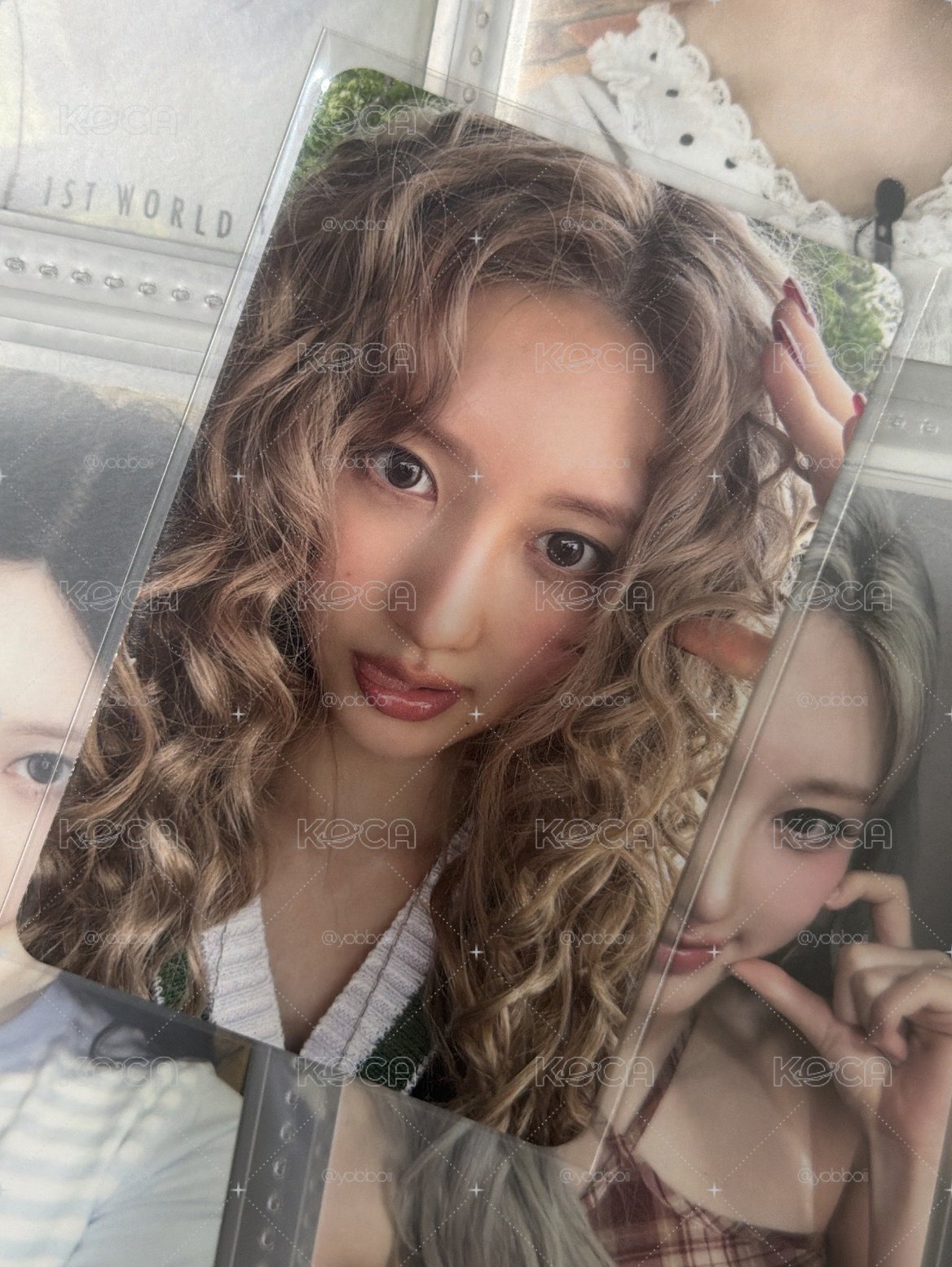 狗狗秋