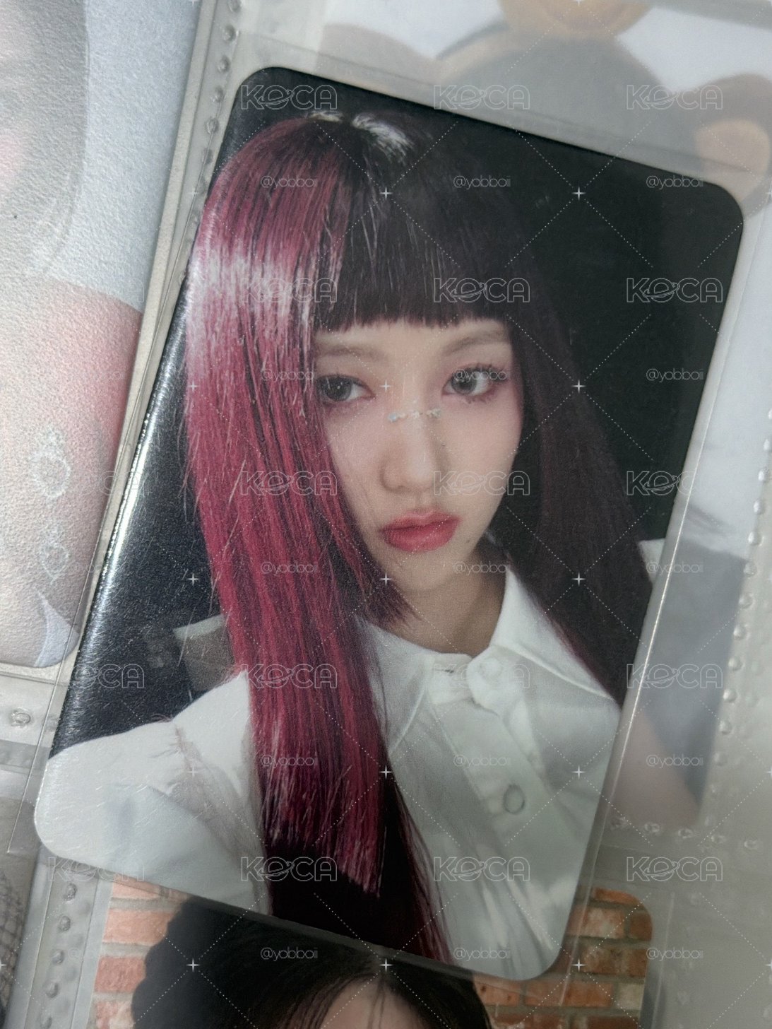 美美秋