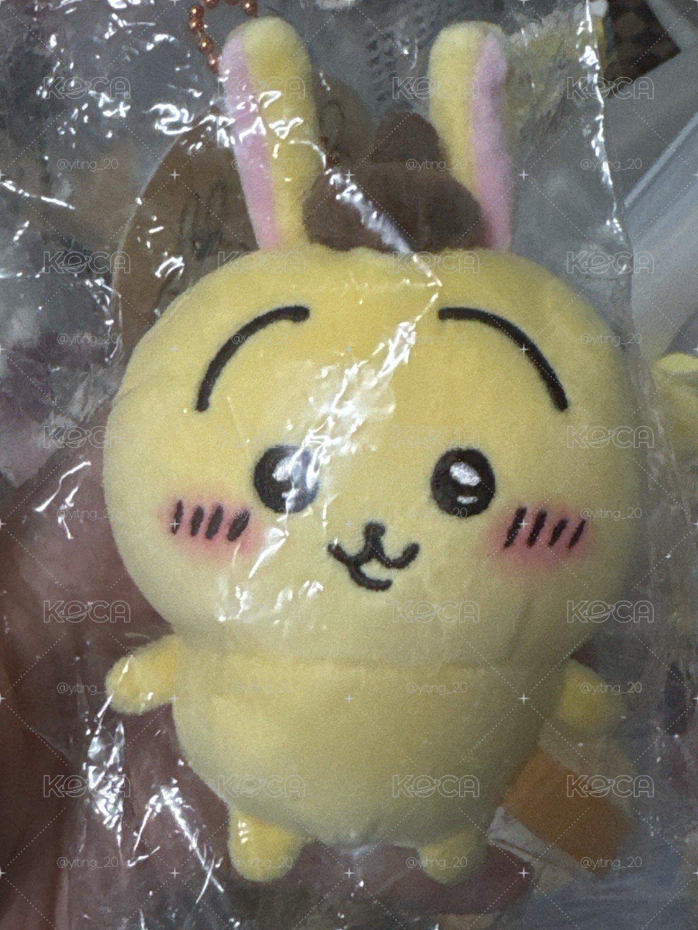 三麗鷗聯名兔兔