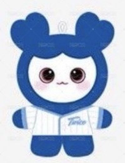 餅乾娃 fans棒球娃 新國立周邊