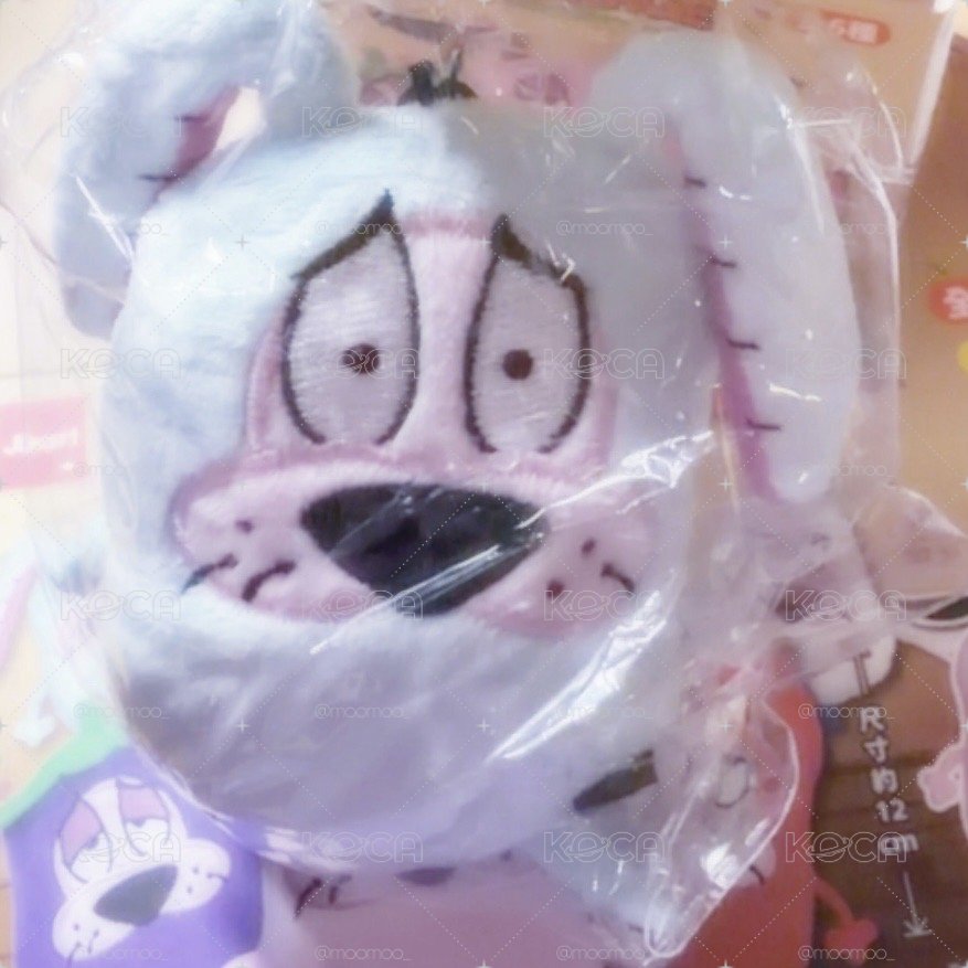 ‎₊˚⊹ 𐦍༘⋆₊ ⊹兔子英雄‎₊˚⊹ 𐦍༘⋆₊ ⊹