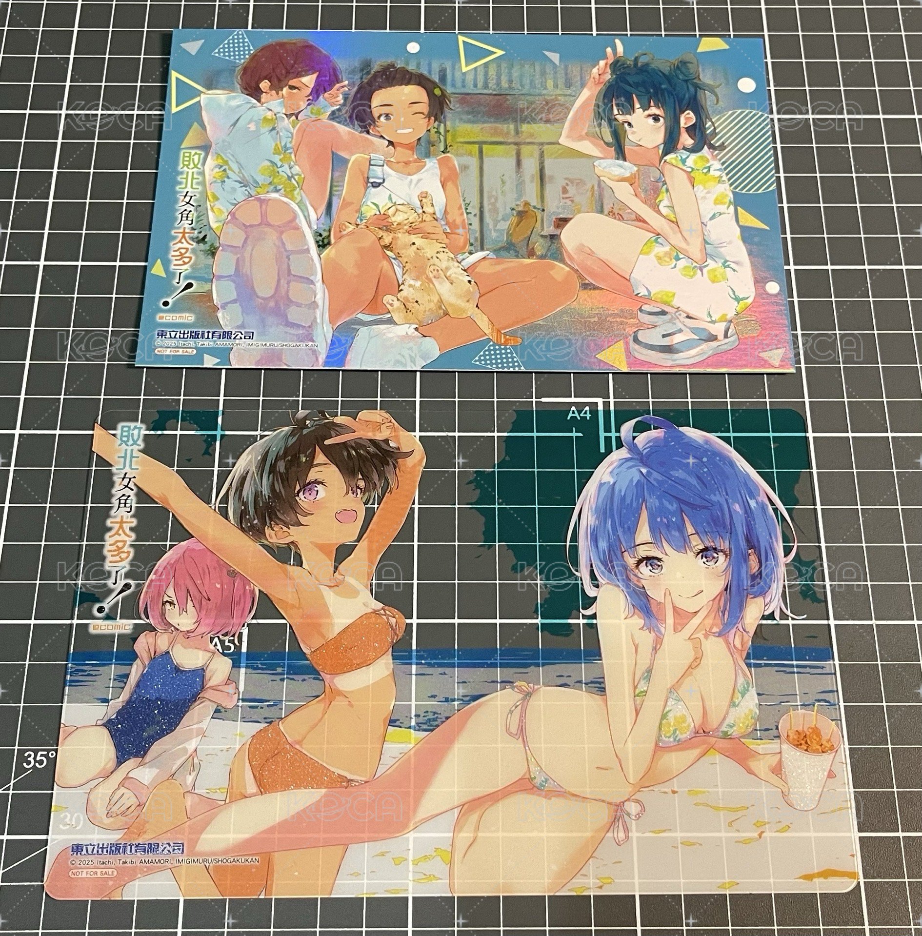 敗北女角太多了！  (透卡+卡片)