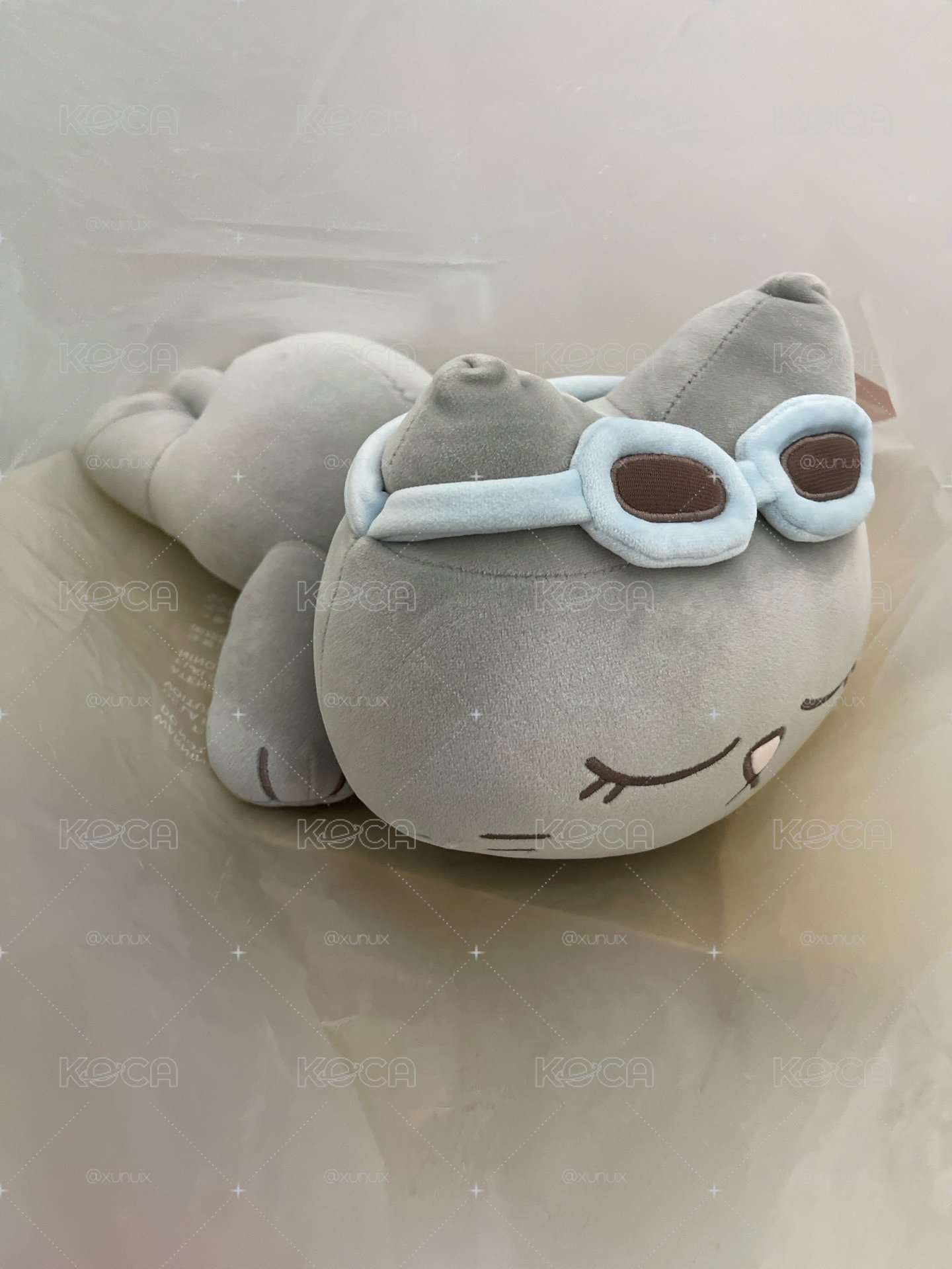 漢泰豐趴娃