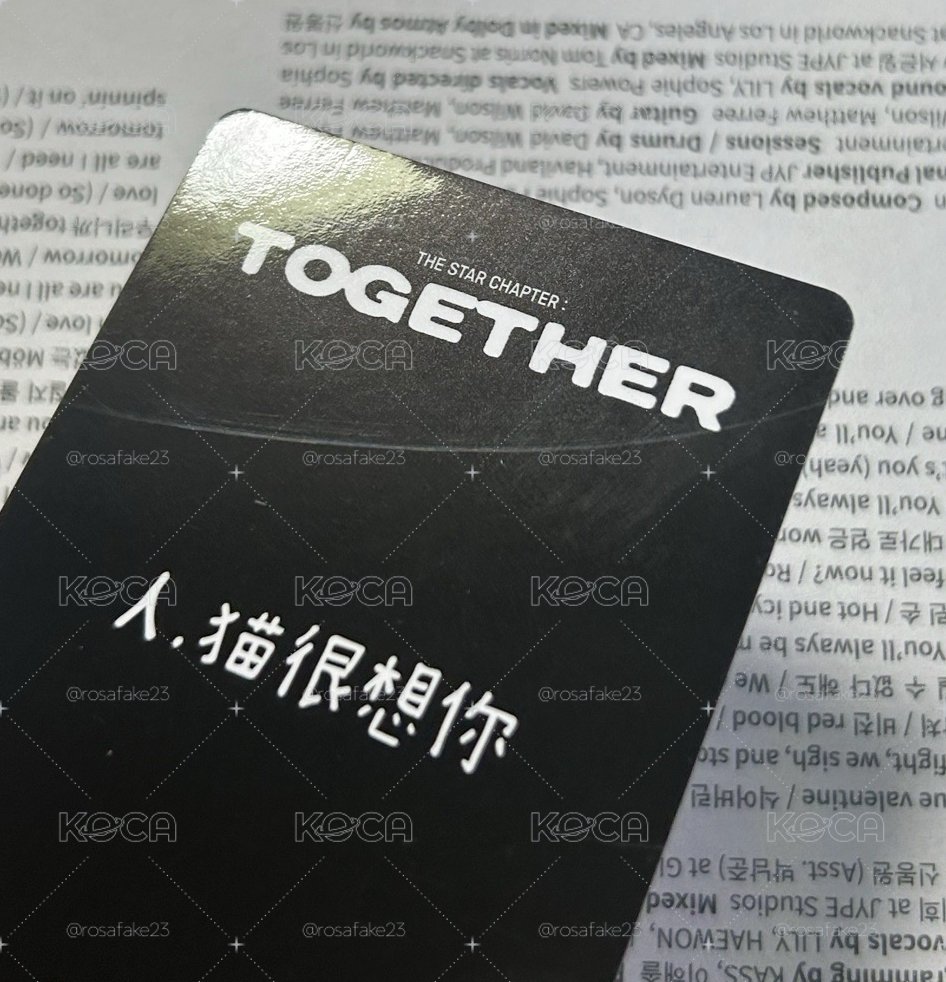 TXT 人，貓很想你