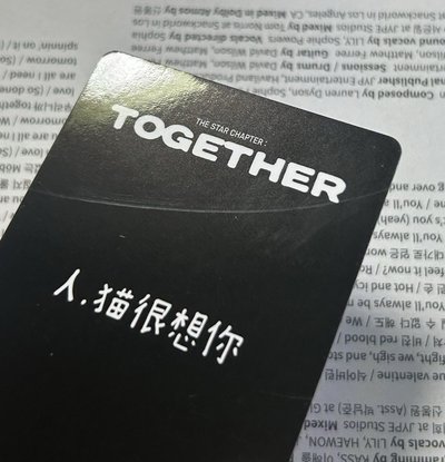 TXT 人，貓很想你