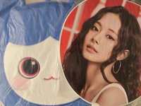 子瑜扇套+新國立扇子