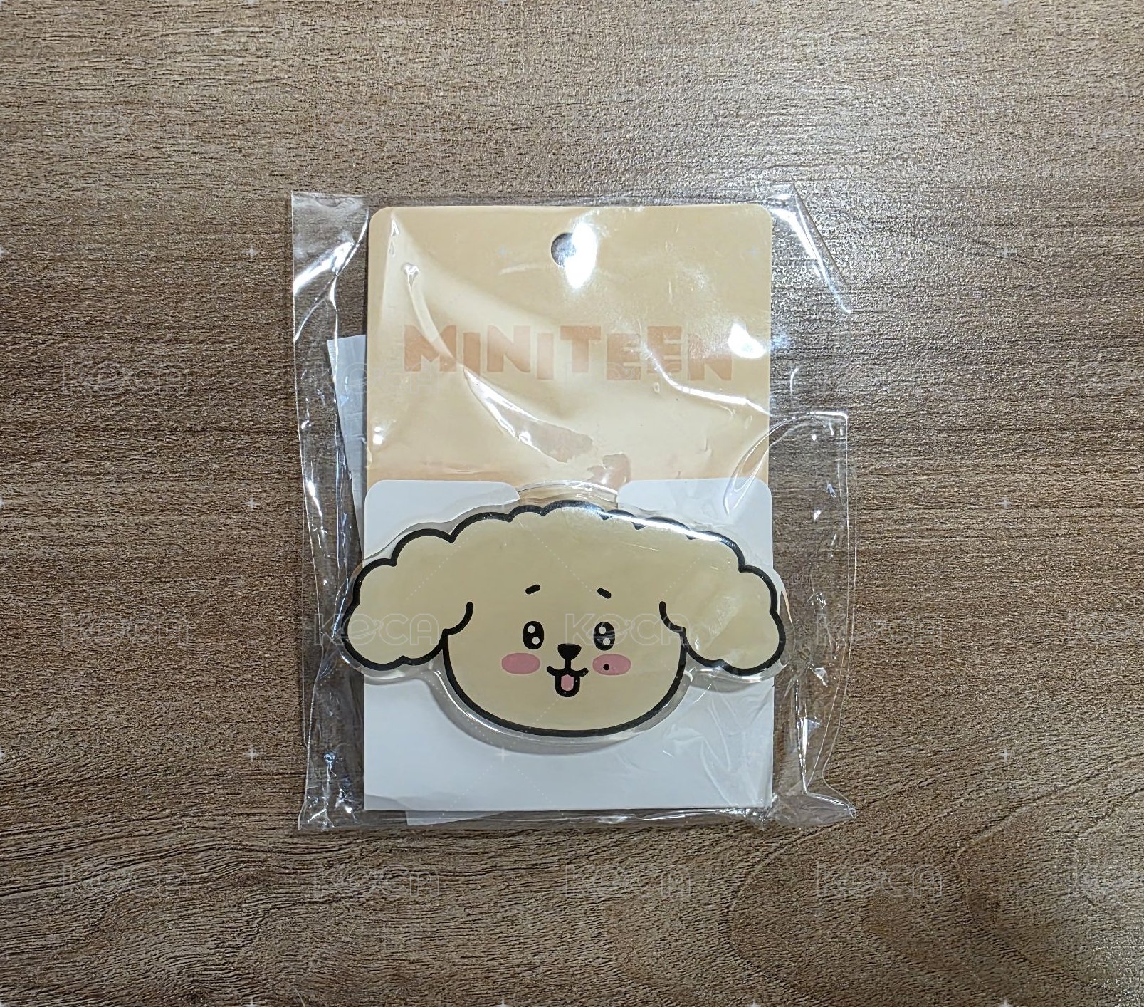 碩