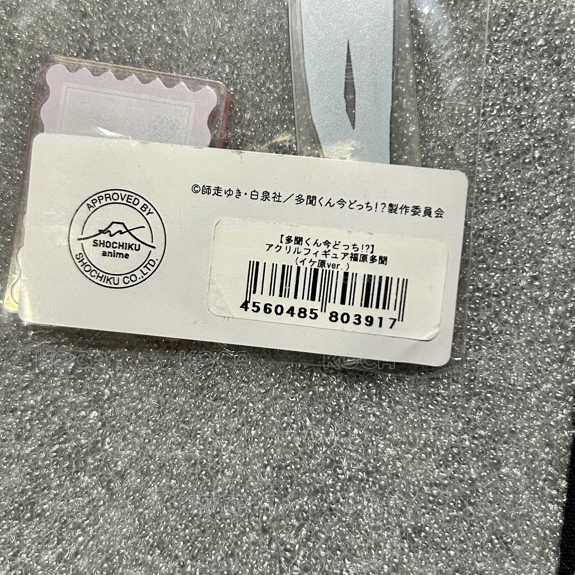 現在的是哪一個多聞！？白泉社立牌