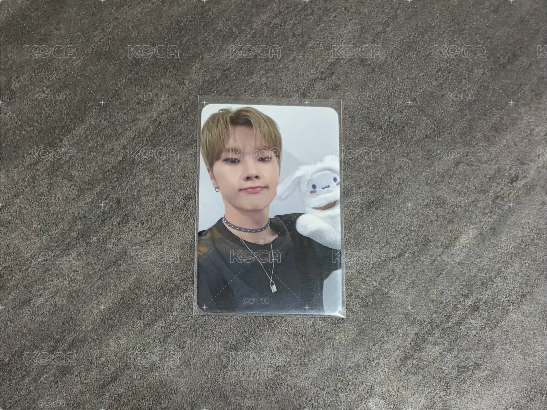Jungsu whosfan特典卡