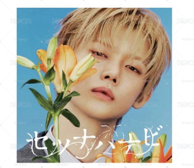 日專剎那花火