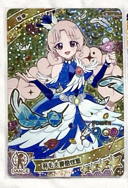 羽毛大賽珠希