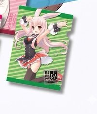 資料夾 20週年回憶滿滿L夾 / 資料夾