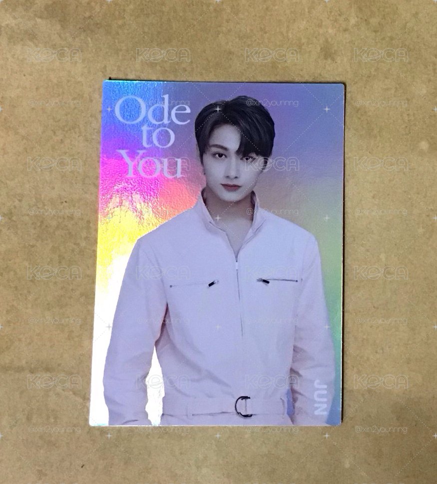 俊  ode to you japan12