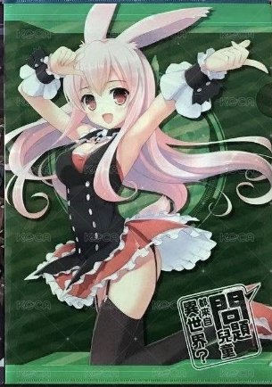 可愛兔兔傷透腦筋《問題兒童都來自異世界？》