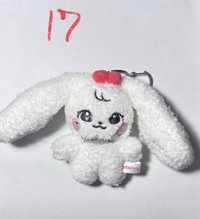 17員娃（帶任4）