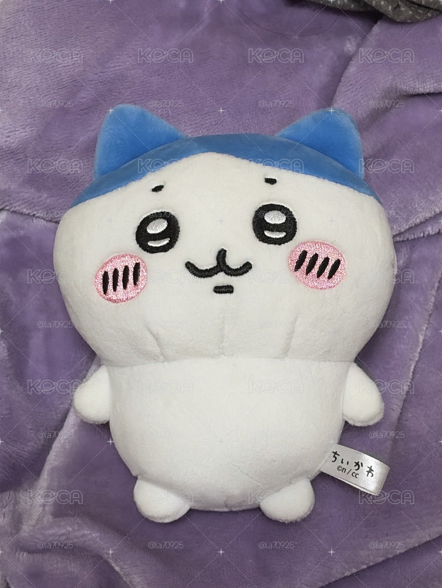 小八