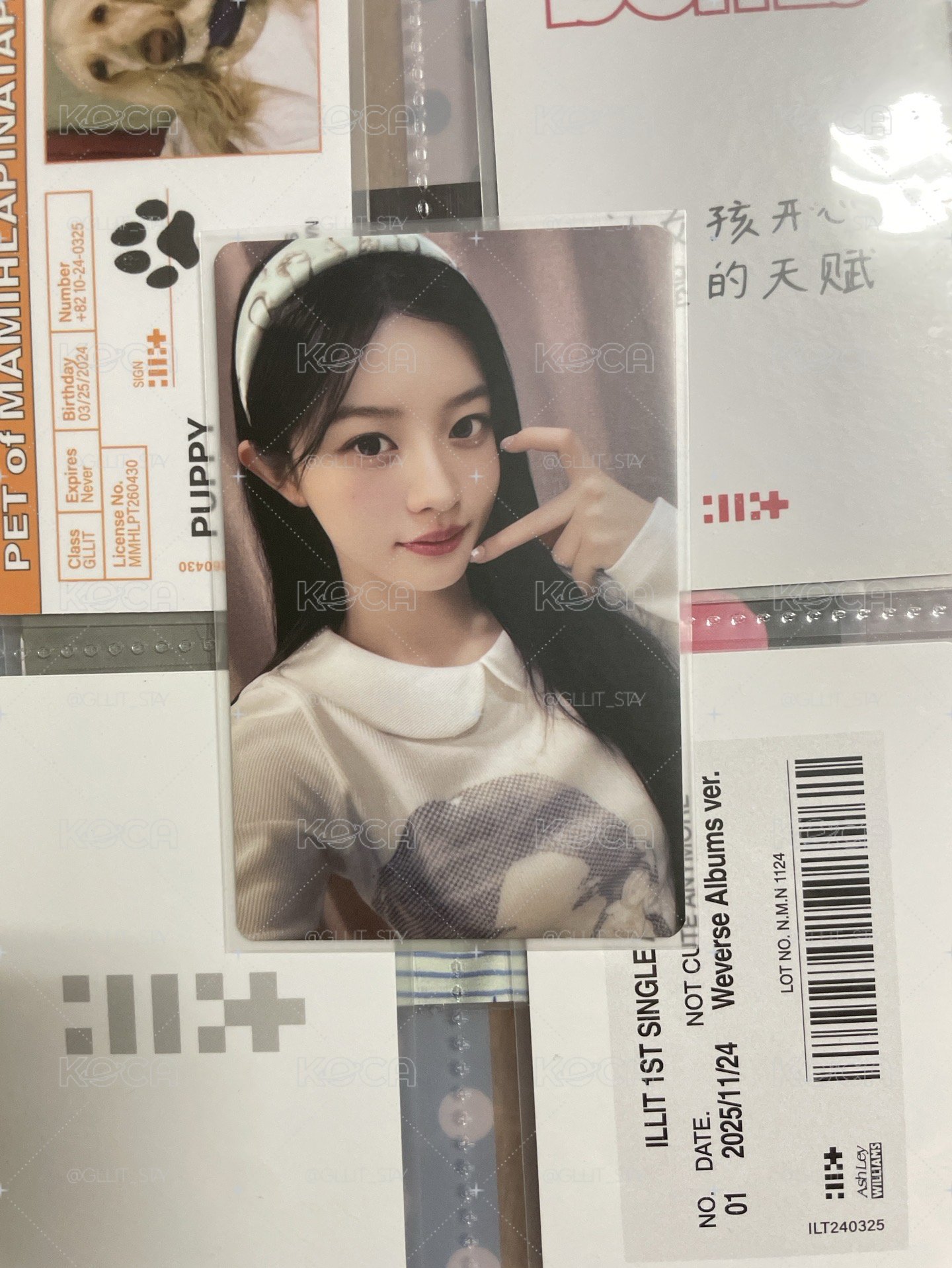 慜 NOT CUTE ANYMORE 塔店 來日紀念 幸運卡