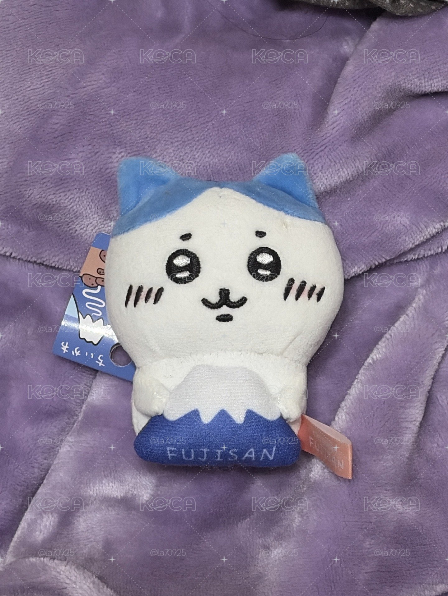 富士山小八