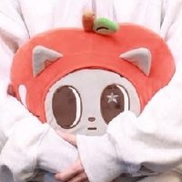 整理卡冊