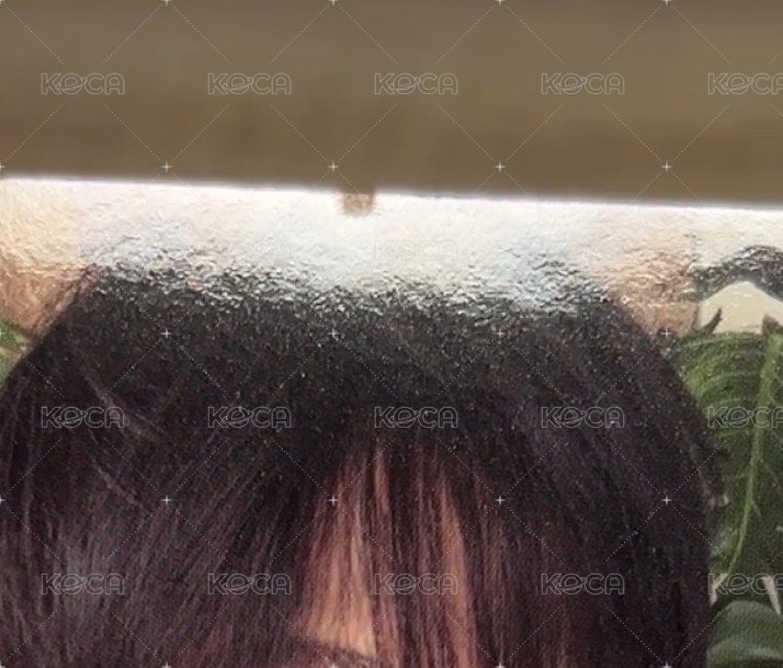 🍒DXS粽卡