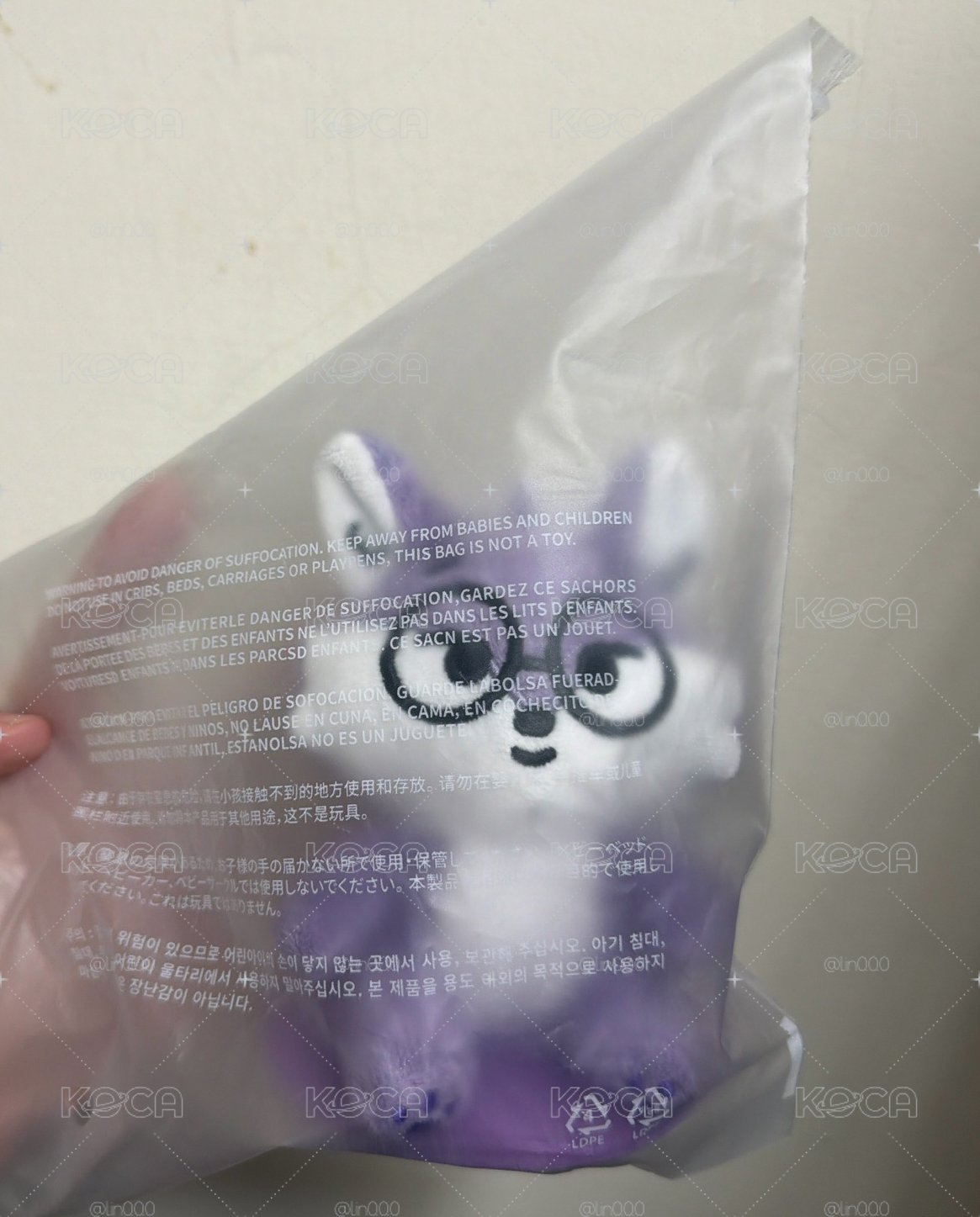 全圓佑坐娃