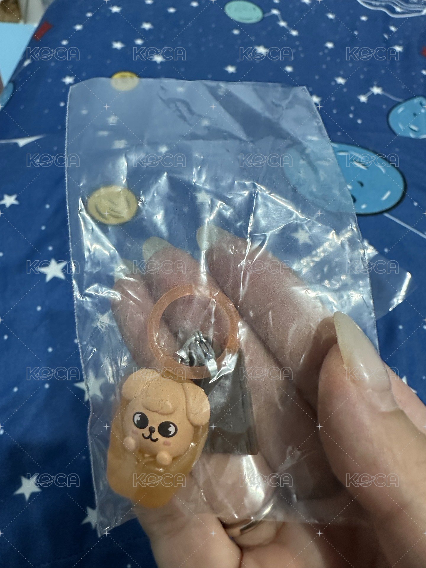 帕皮