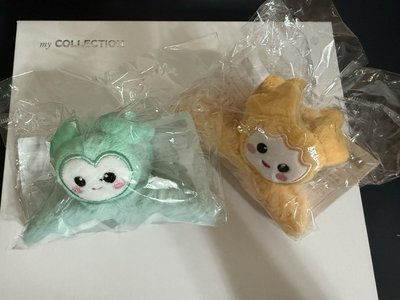 TWICE this is for 六巡 新國立周邊 lovelys 鯊魚夾 髮夾 志效 Mina 全新