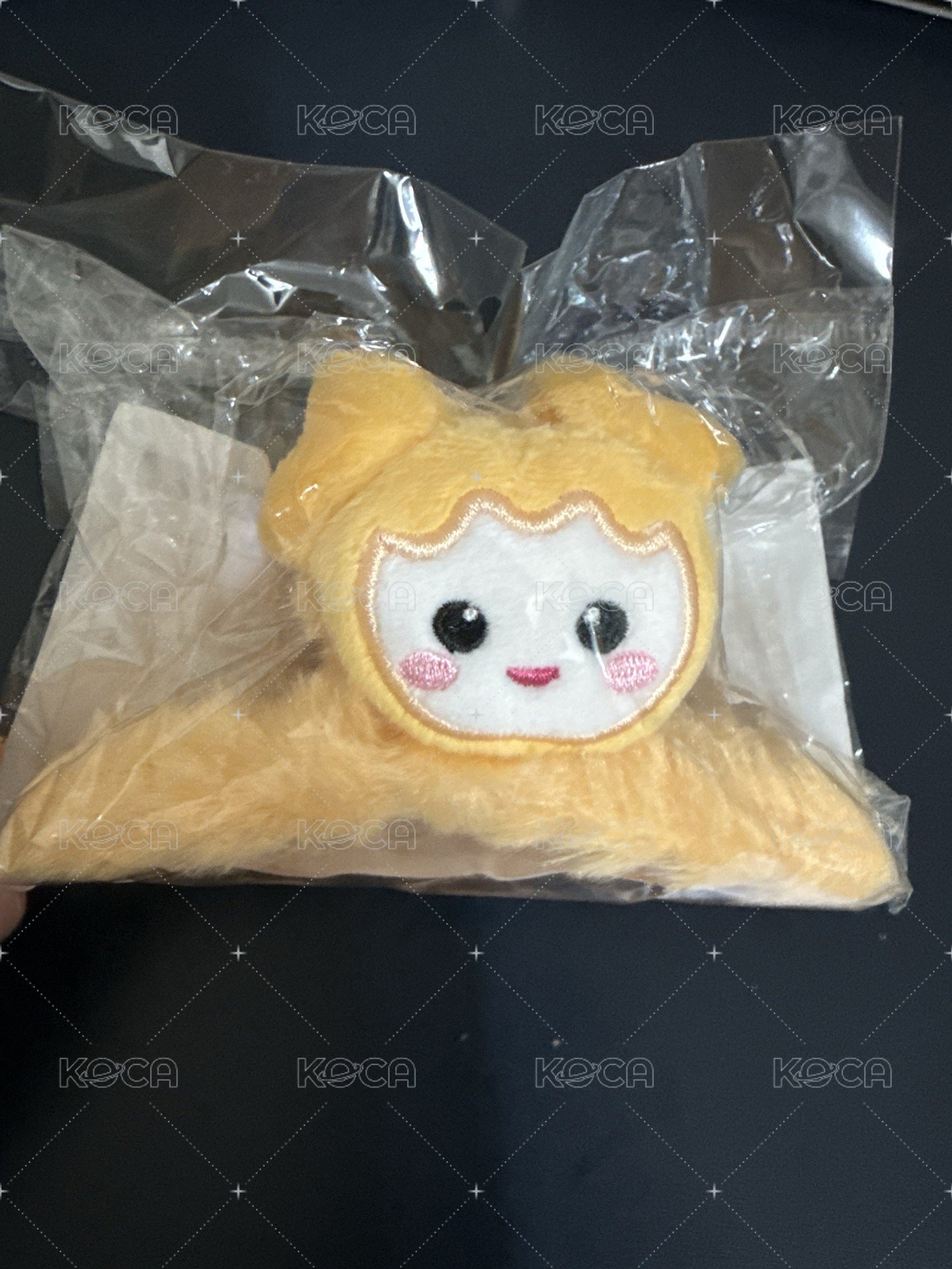 志效