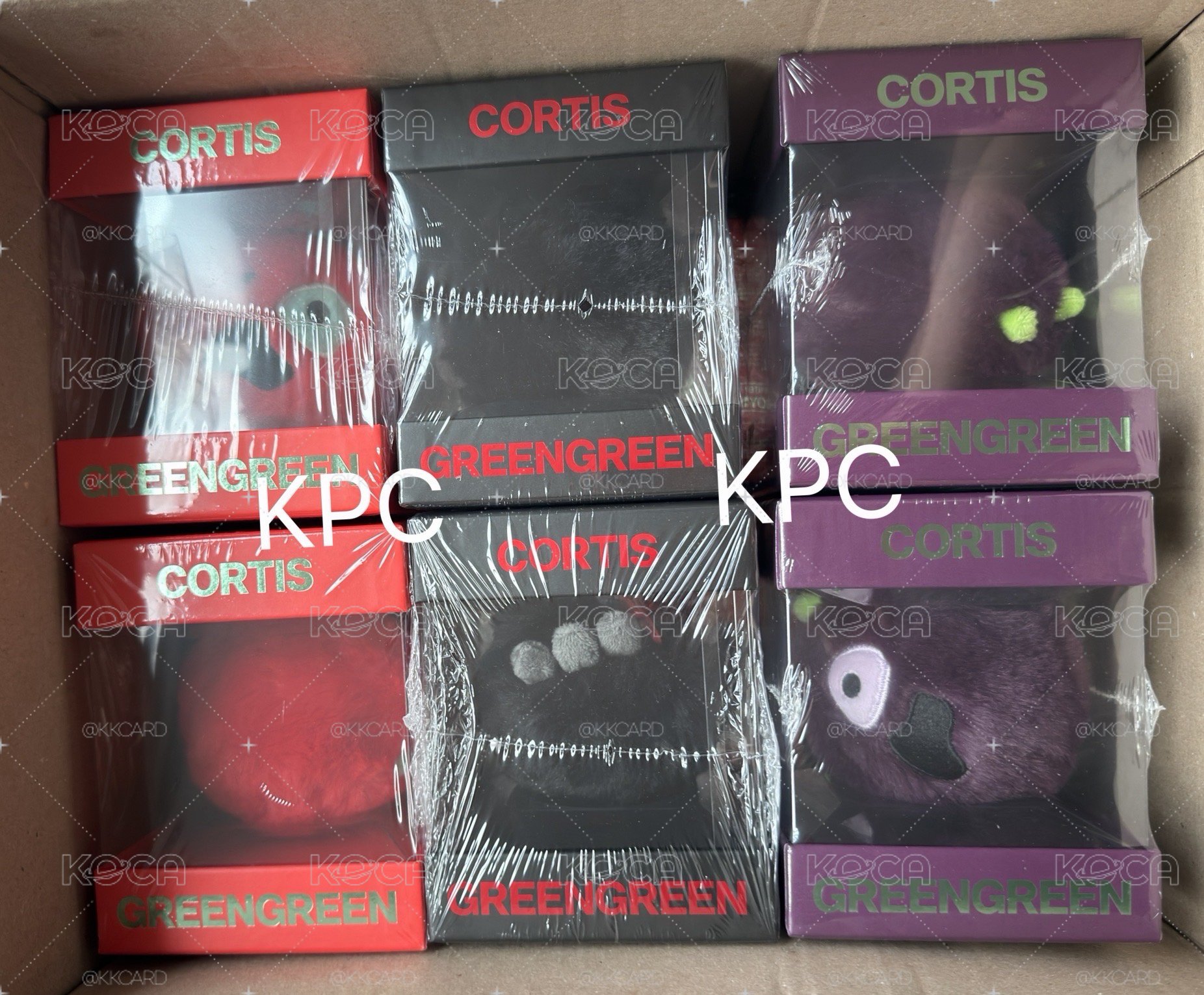 CORTIS 三色球專