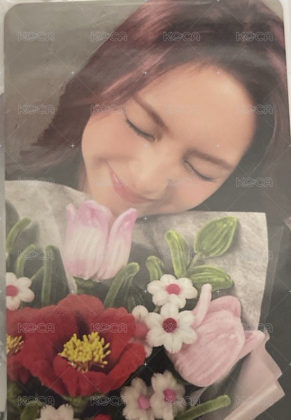 紀念冊專卡