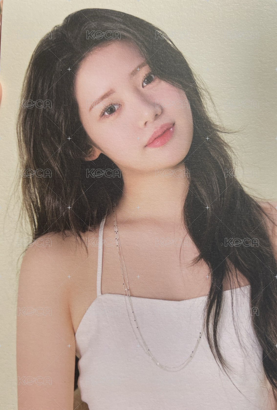 紀念冊大卡