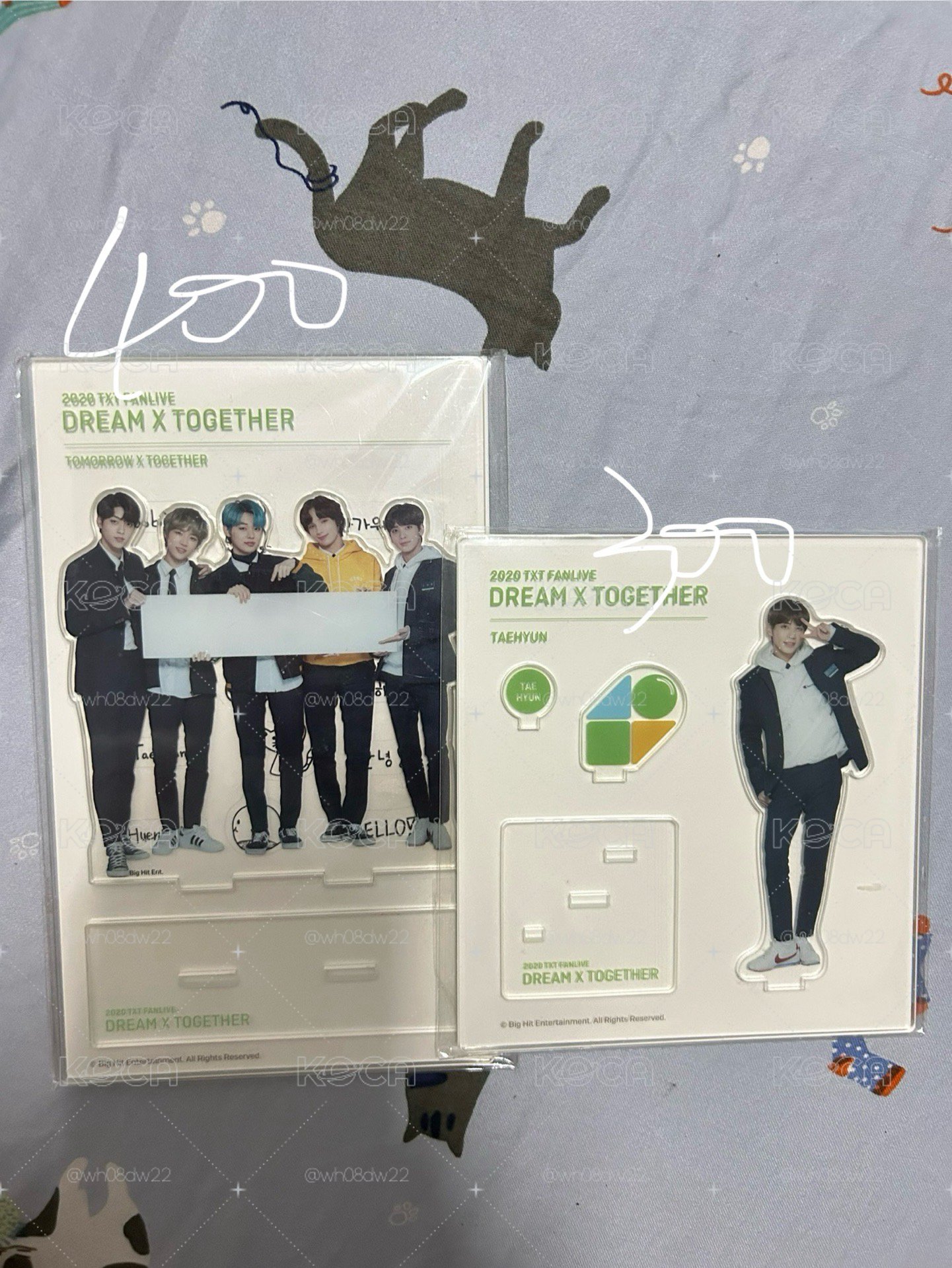 txt 2020 fanlive 立牌