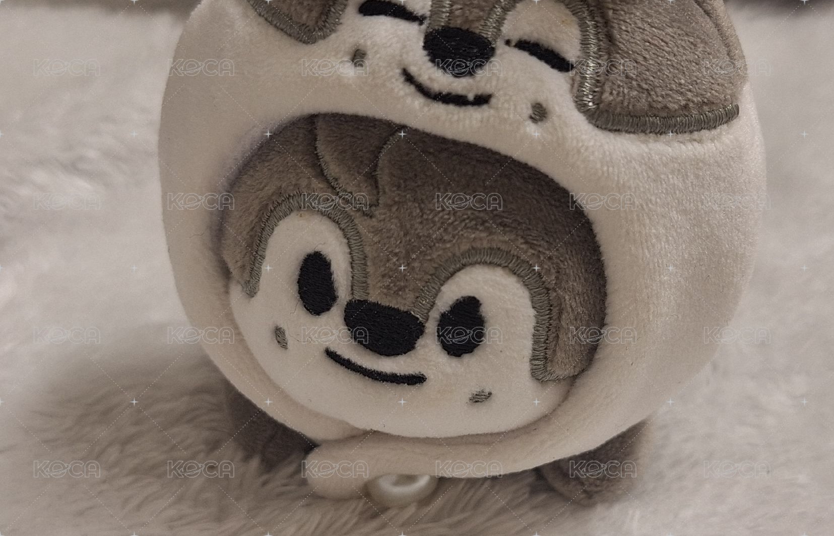 燦趴娃