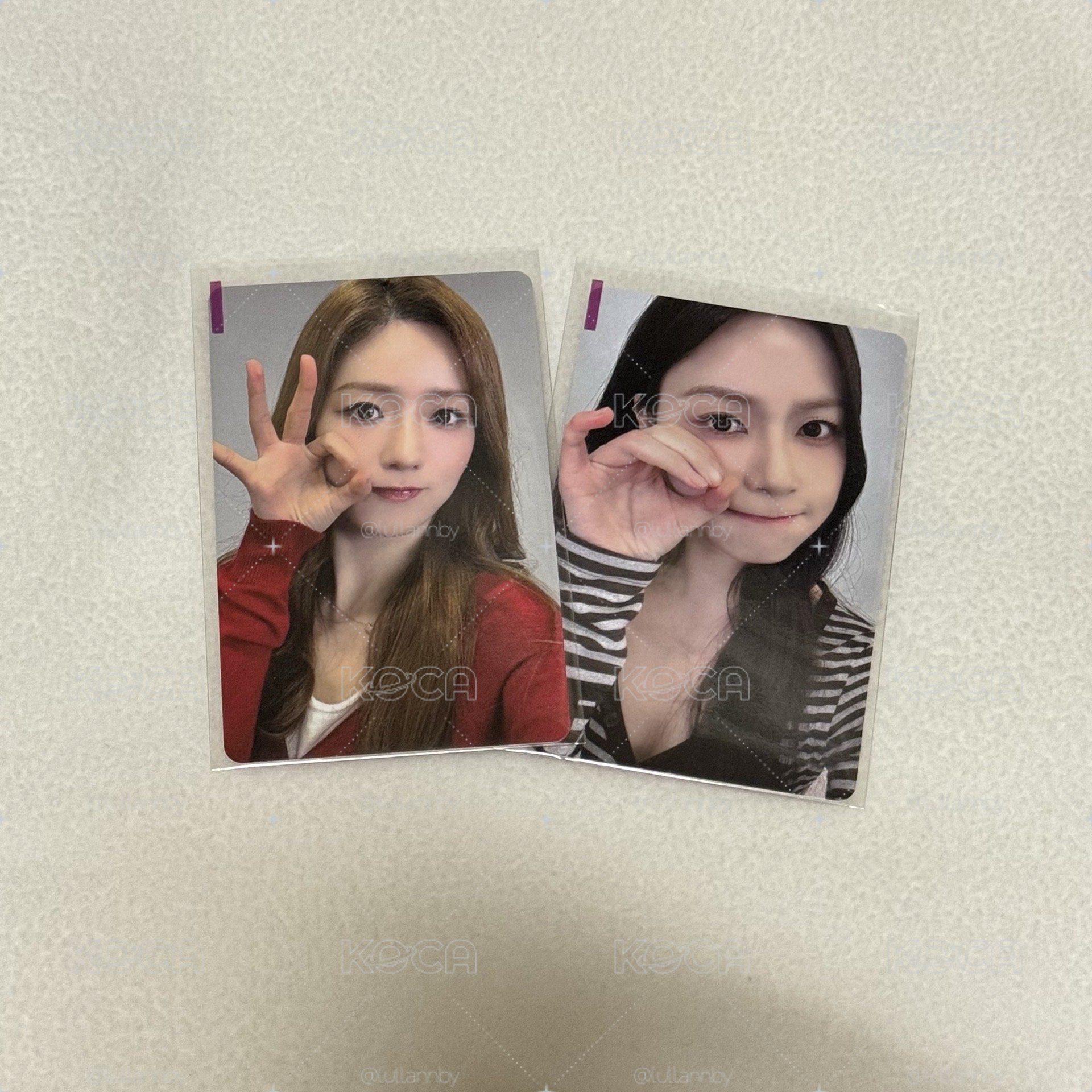 APINK 章魚燒 特典 小卡 普美 夏榮 全專