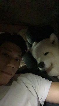 退坑的人