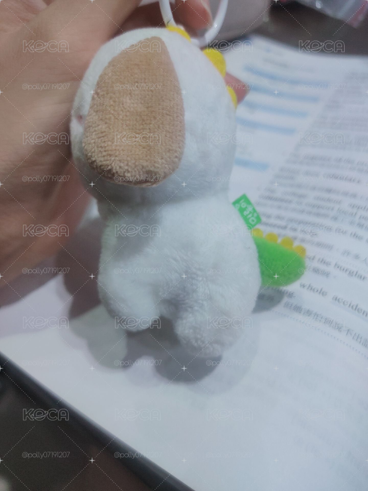 肥美原皮 綁物還都是熱卡！