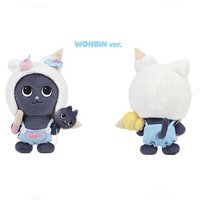RIIZE Park 20cm 兔貓鴨 中娃 韓版