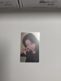 貓爪葉